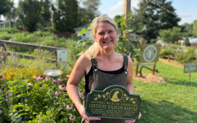 Benson Community Garden Earns National Wildlife Federation Certification